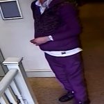 malborough-the-bear-incident