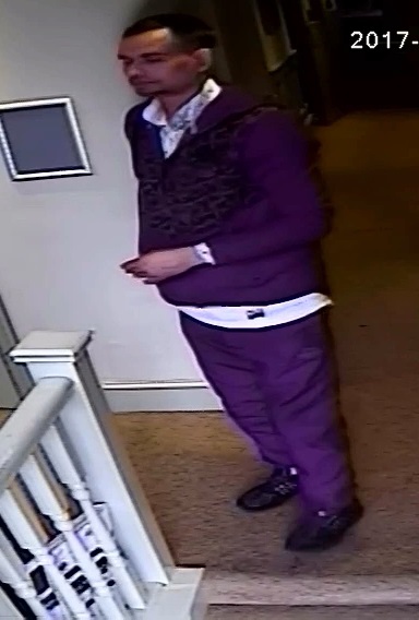 malborough-the-bear-incident