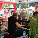 Live music chilli fiesta