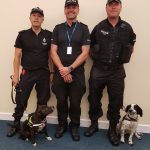 Roxy the rescue staffie with officers
