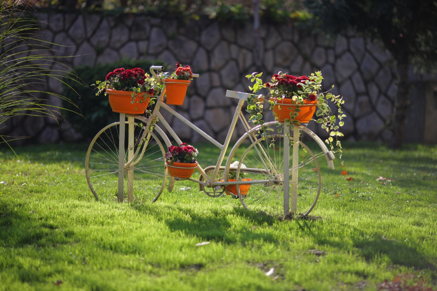 FREE family cycling event this Summer Holidays