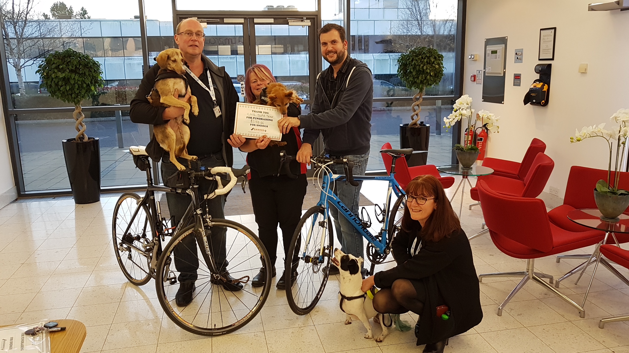 SN dogs charity work
