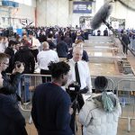 BRIGHT YOUNG SPARKS RISE TO ROYAL NAVY ENGINEERING CHALLENGE