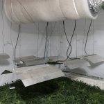 Cannabis Farm - Westlea - Swindon