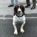 Swindon's Community Policing Teams targeted illegal drug supply and use