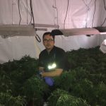 Sgt James Rodrigues - Cannabis Farm - Westlea - Swindon