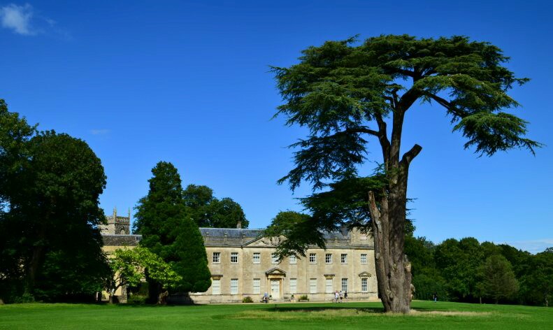 Lydiard Park, Swindon - Image Credit - Barry Simmons‎ - https://www.facebook.com/groups/PhotographyInSwindon/ - Member