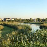 tadpole-garden-village-swindon-2018