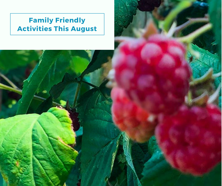 Activities in Swindon this August Header