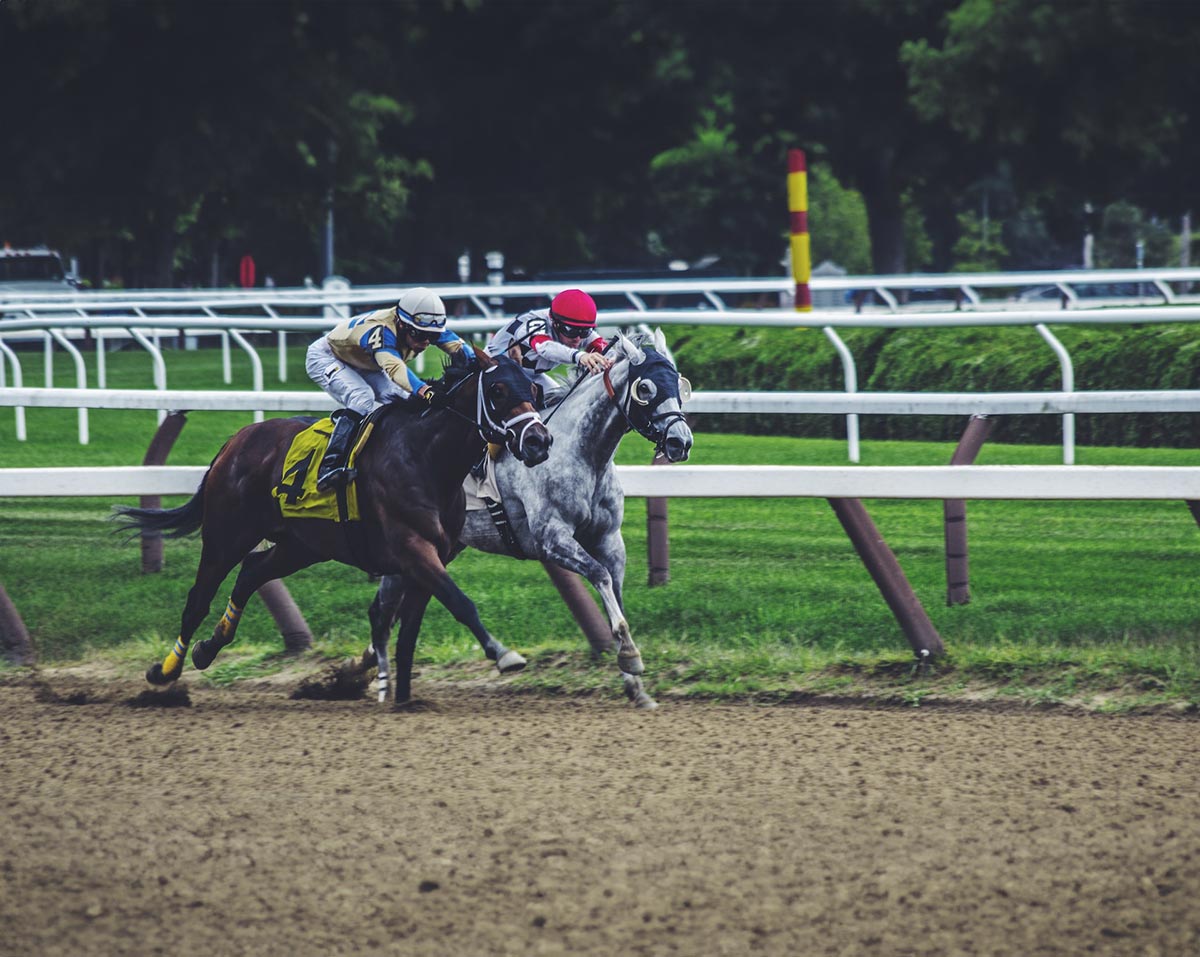 From Novice to Pro: Mastering the Art of Sports Betting