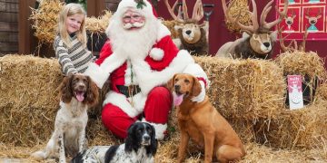 Dogs invited to meet Santa at Dobbies Swindon store this Christmas