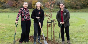 80 oak trees planted at Lydiard Park to honour wartime heroes