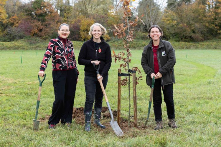 80 oak trees planted at Lydiard Park to honour wartime heroes