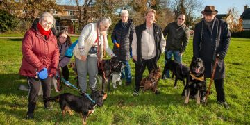Residents urge Stratton Parish for Swindon’s dog agility equipment at Merton