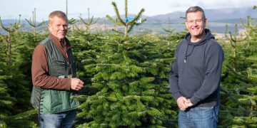 Four Swindon schools gifted Christmas trees by Dobbies