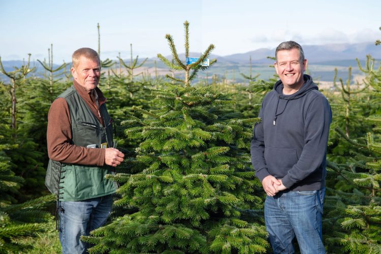 Four Swindon schools gifted Christmas trees by Dobbies