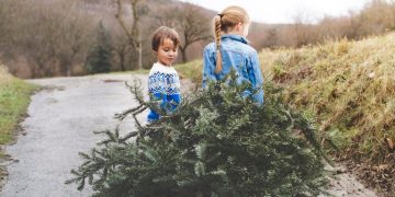Swindon children invited to free Christmas tree recycling workshop