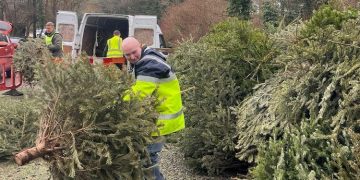 Recycle your Christmas tree to support Prospect Hospice care
