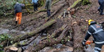 Volunteer rangers help maintain Coate Water Country Park