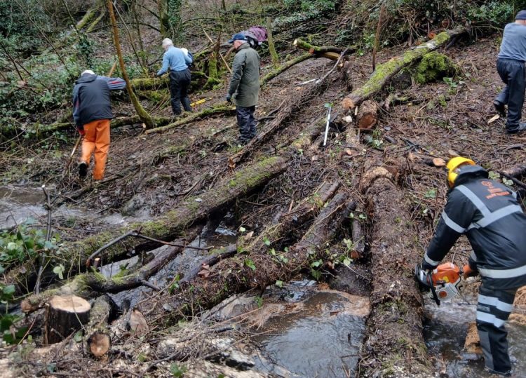 Volunteer rangers help maintain Coate Water Country Park