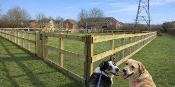 New dog park unveiled at Goodearl Field in Haydon Wick