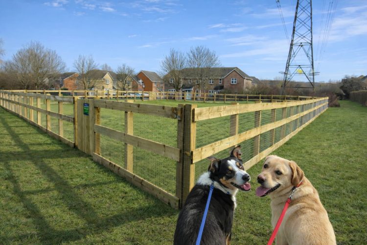 New dog park unveiled at Goodearl Field in Haydon Wick