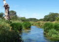 Alliance launches to tackle river and habitat decline