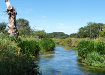 Alliance launches to tackle river and habitat decline