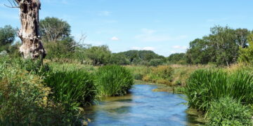 Alliance launches to tackle river and habitat decline