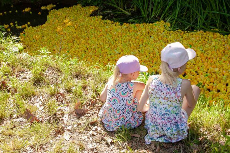Mayor makes debut at sweltering Swindon Duck Race event