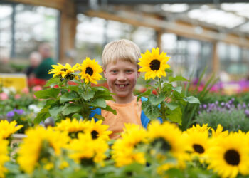 Free kids gardening event coming to Dobbies Garden Centre in Swindon