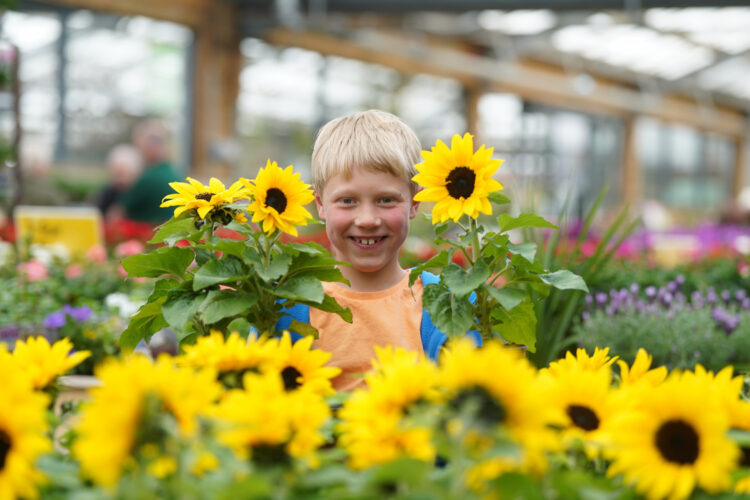 Free kids gardening event coming to Dobbies Garden Centre in Swindon