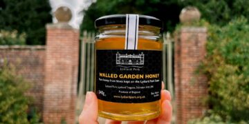 Rush for Lydiard Park honey after first ever harvest produces 30 jars
