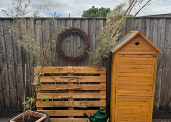 Neglected land given new lease of life with Gorse Hill garden scheme