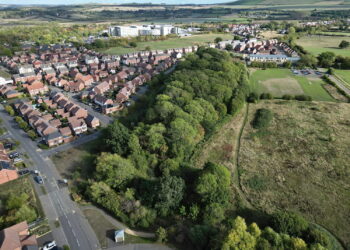 Inside the woodland on the doorstep of Swindon’s fast-growing Badbury Park
