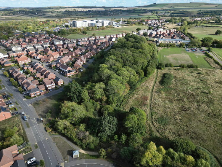 Inside the woodland on the doorstep of Swindon’s fast-growing Badbury Park
