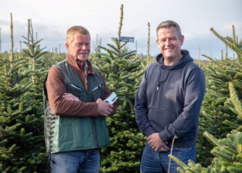 Dobbies giving away five Christmas trees to Swindon schools