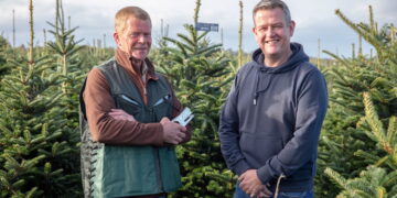 Dobbies giving away five Christmas trees to Swindon schools
