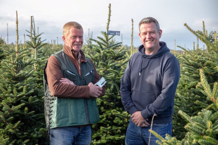 Dobbies giving away five Christmas trees to Swindon schools